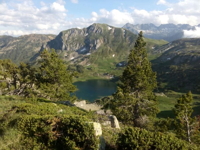 2016-07-04-PHOTO-00001929