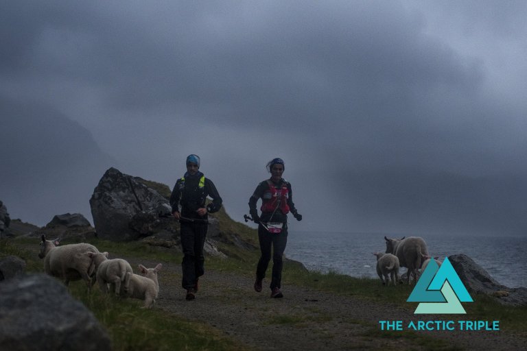 34601678_803144036550017_2359786827788845056_o