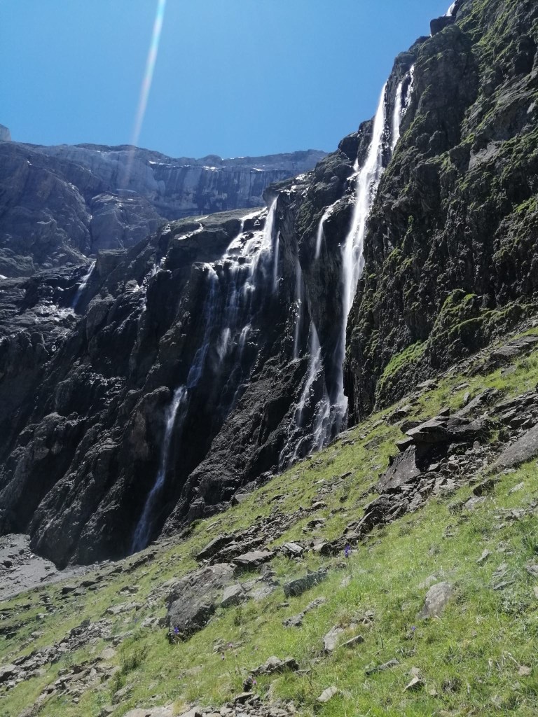 bc0d8105-3b53-43bc-a421-39ecb737299d